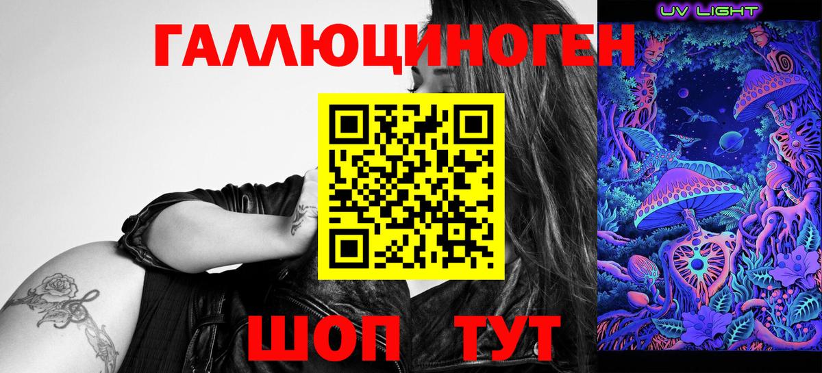 Карачаевск  Псилоцибиновые грибы Psilocybe  Вход с VPN 